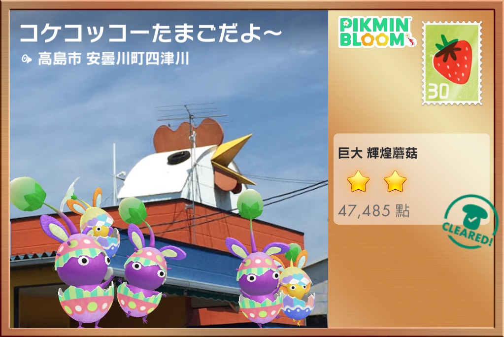 Featured image of post 打菇的彩蛋