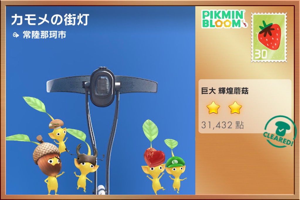 Featured image of post 明信片拍照安排