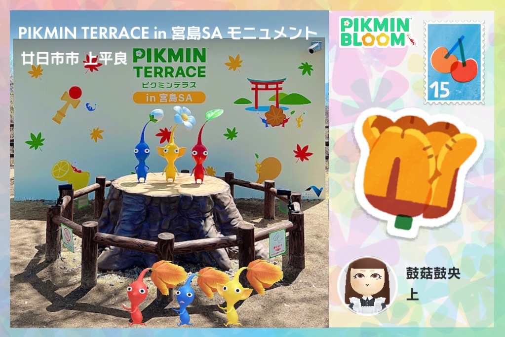 Featured image of post 陽島皮皮